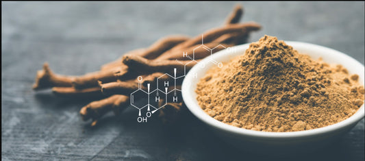 The Empowering Benefits of Ashwagandha for Working Women