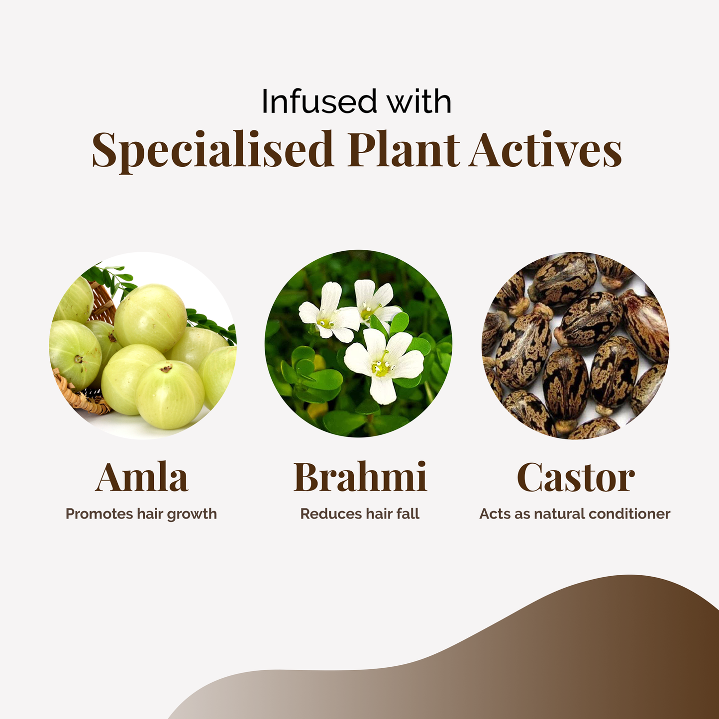life & pursuits | amla brahmi hair oil | for hair growth