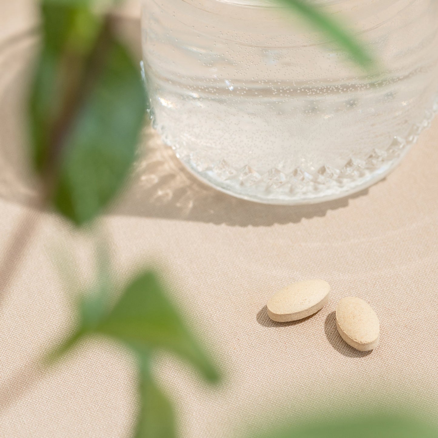 ashwagandha tablets | certified organic