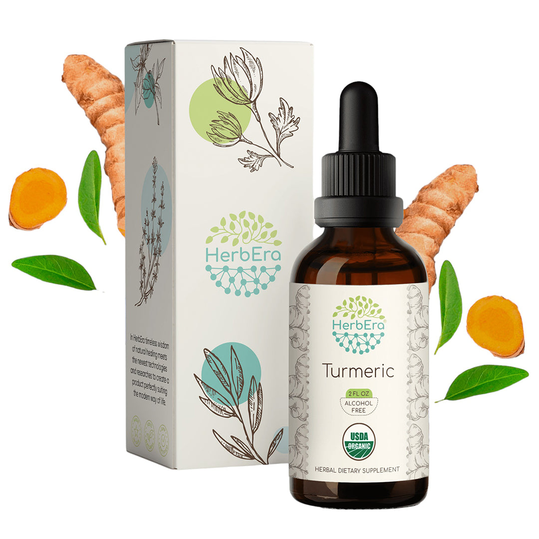 herbera | turmeric herbal extract tincture | organic | alcohol-free | 60ml | made in usa
