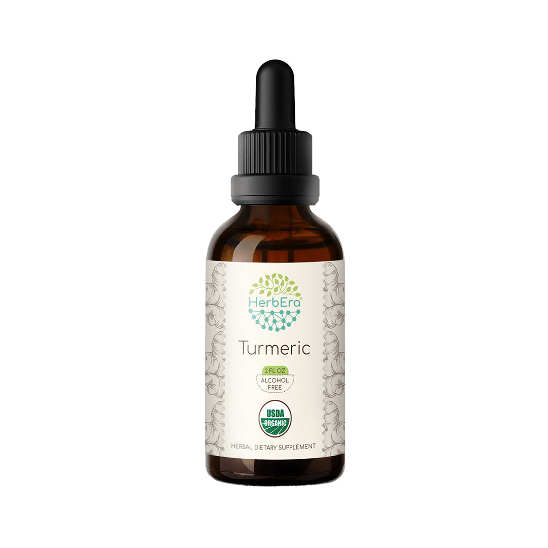 herbera | turmeric herbal extract tincture | organic | alcohol-free | 60ml | made in usa
