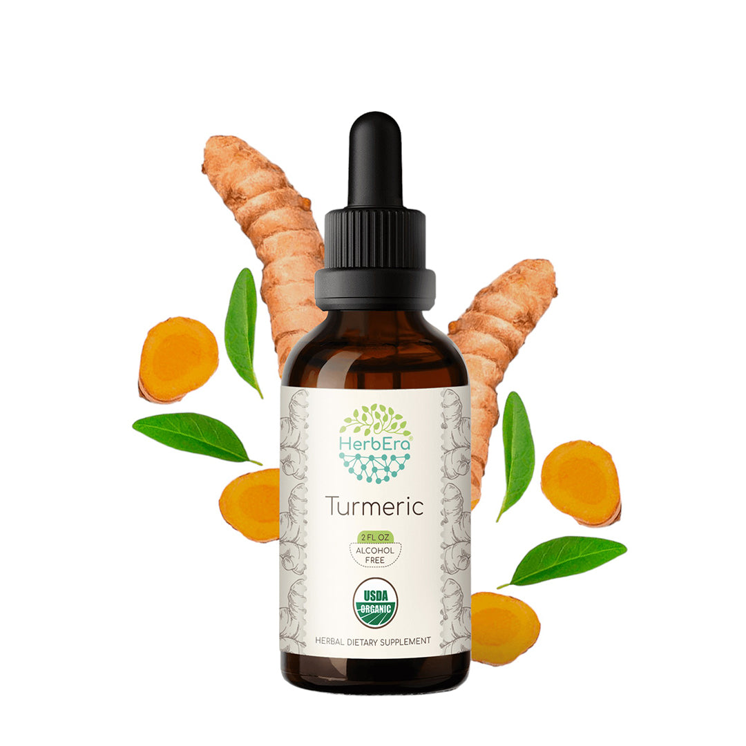 herbera | turmeric herbal extract tincture | organic | alcohol-free | 60ml | made in usa