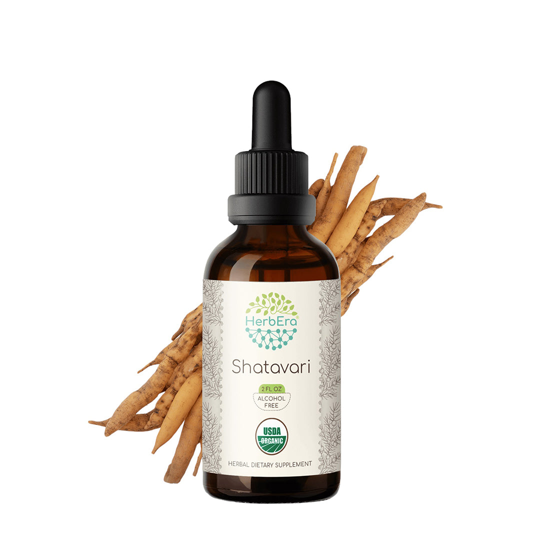 herbera | shatavari alcohol-free herbal extract tincture organic