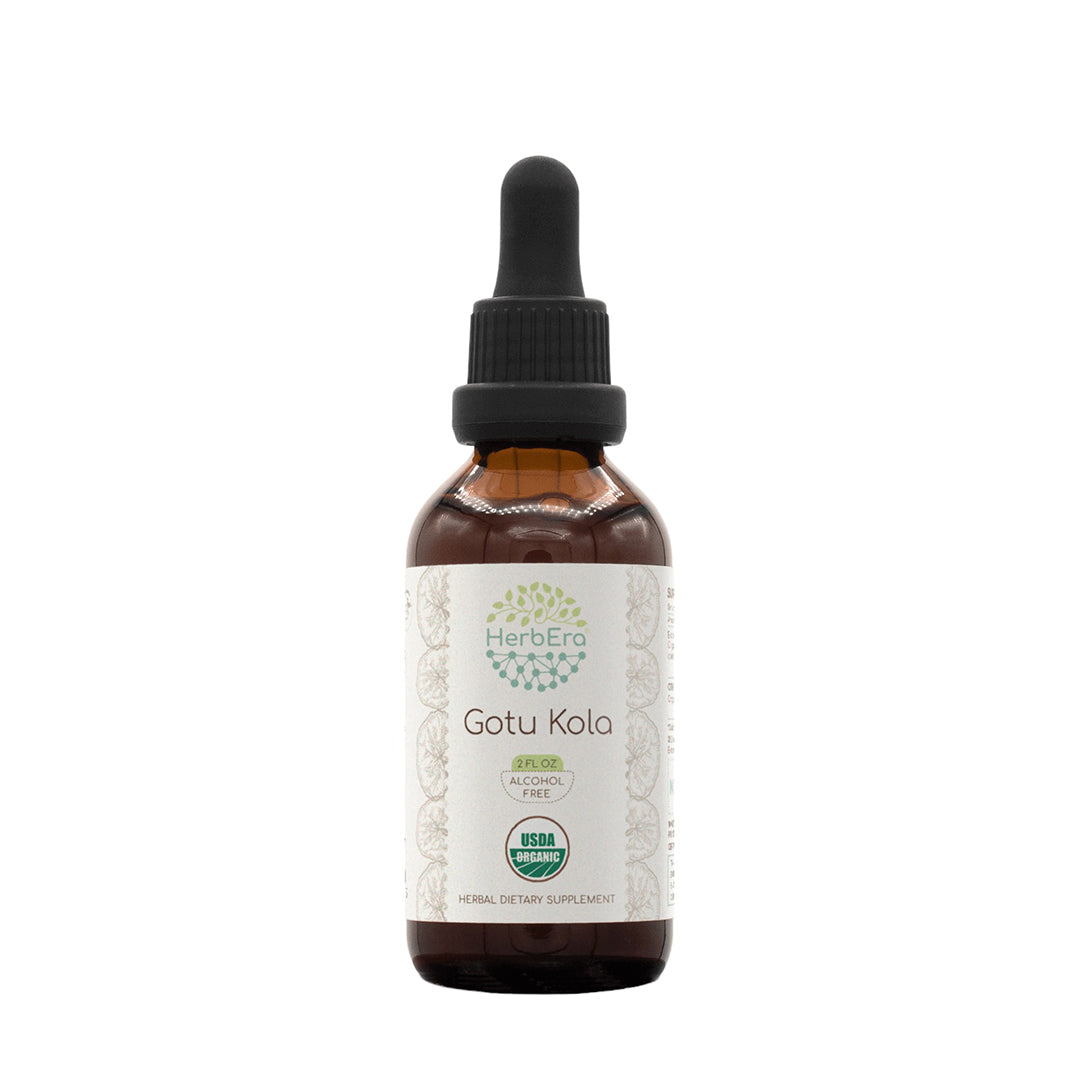herbera | gotu kola herbal extract tincture | organic | alcohol-free | 60ml | made in usa