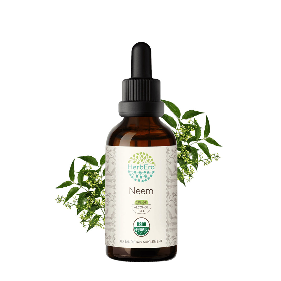 herbera | neem herbal extract tincture | organic | alcohol-free | 60ml | made in usa