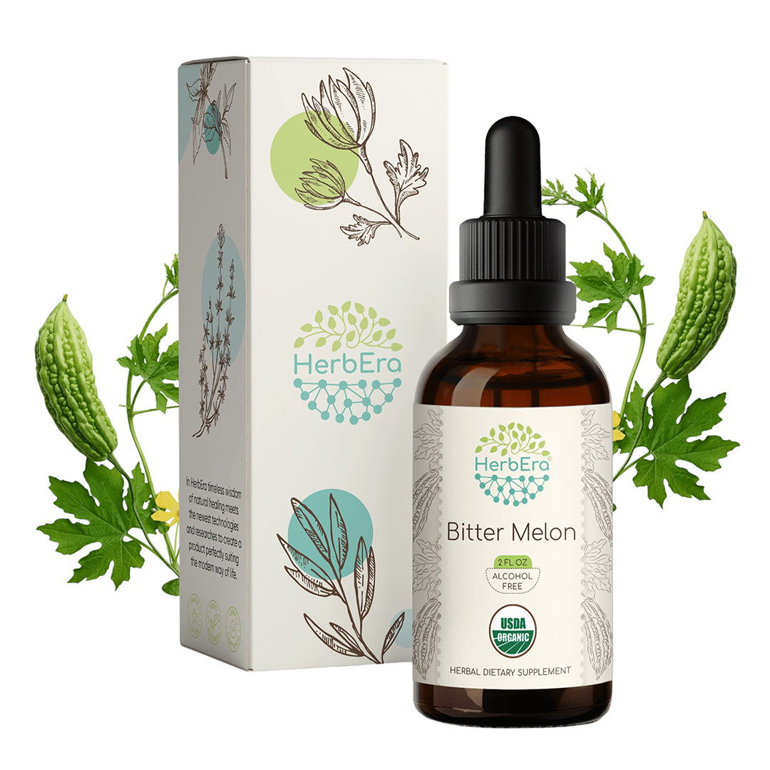 herbera | bitter melon herbal extract tincture | organic | alcohol-free | 60ml | made in usa