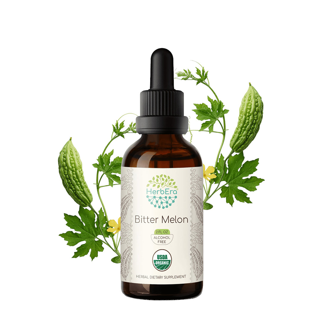 herbera | bitter melon herbal extract tincture | organic | alcohol-free | 60ml | made in usa