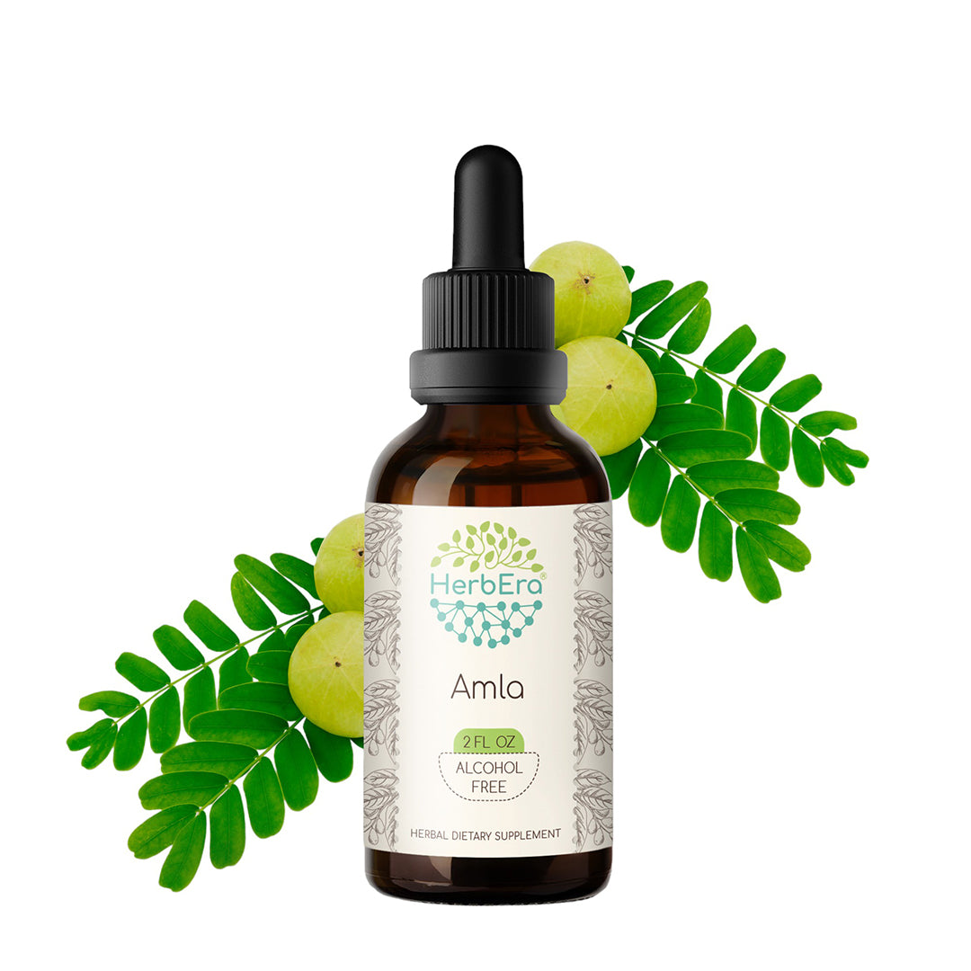 herbera | amla (amalaki) herbal extract tincture | organic | alcohol-free | 60ml | made in usa