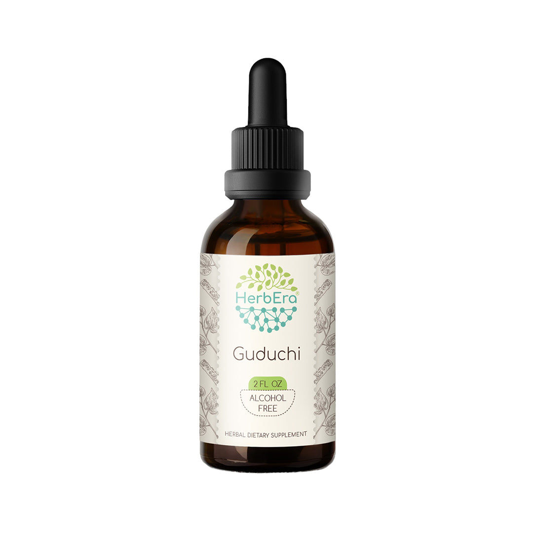 herbera | guduchi | giloy | herbal extract tincture | organic | alcohol-free | 60ml | made in usa