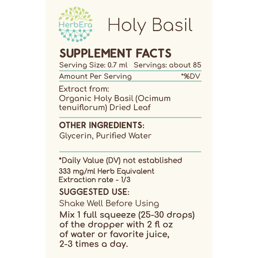 herbera | holy basil (tulsi) herbal extract tincture | organic | alcohol-free | 60ml | made in usa