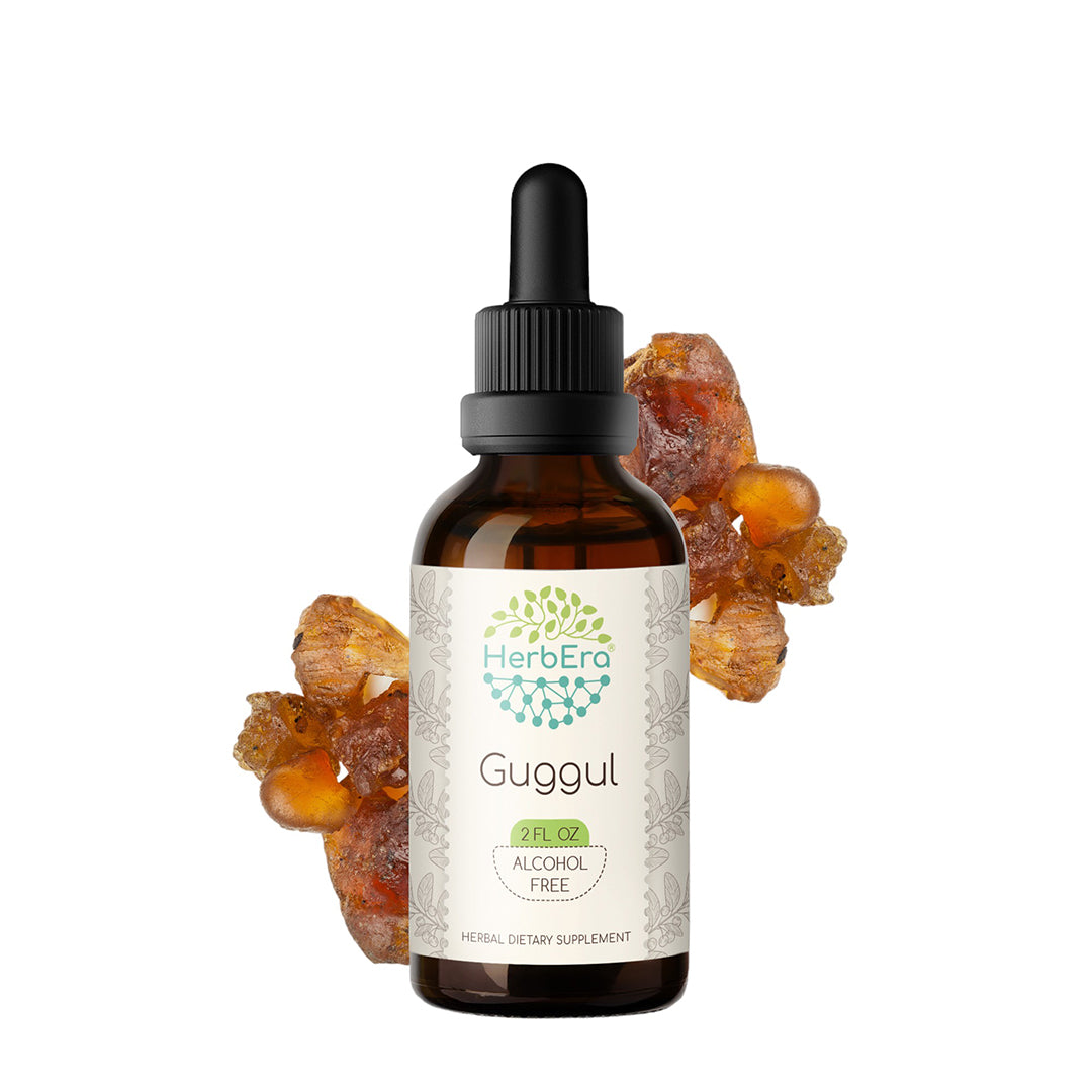 herbera | guggul herbal extract tincture | organic | alcohol-free | 60ml | made in usa
