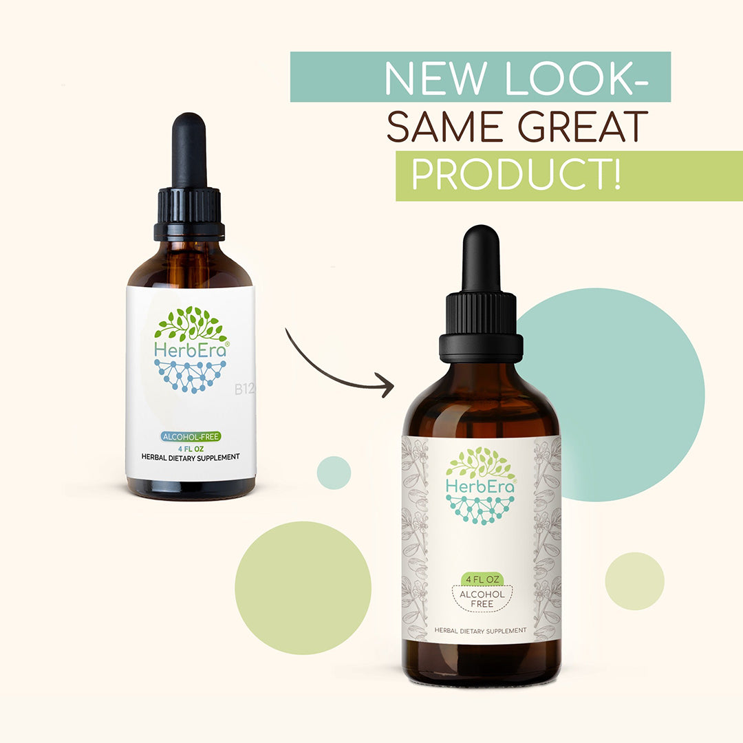 herbera | ceylon cinnamon extract tincture | organic | alcohol-free | 60ml | made in usa