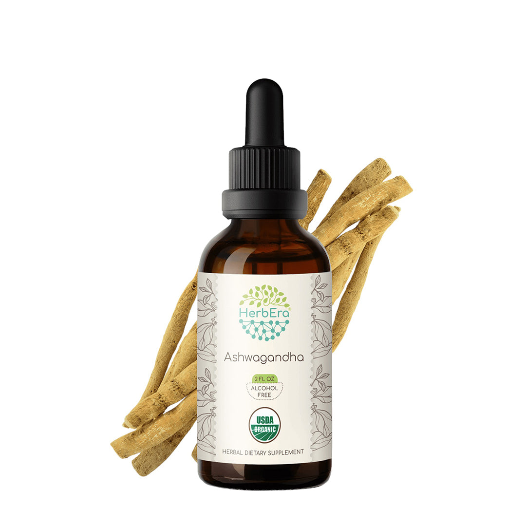 herbera | ashwagandha herbal extract tincture | organic | alcohol-free | made in usa
