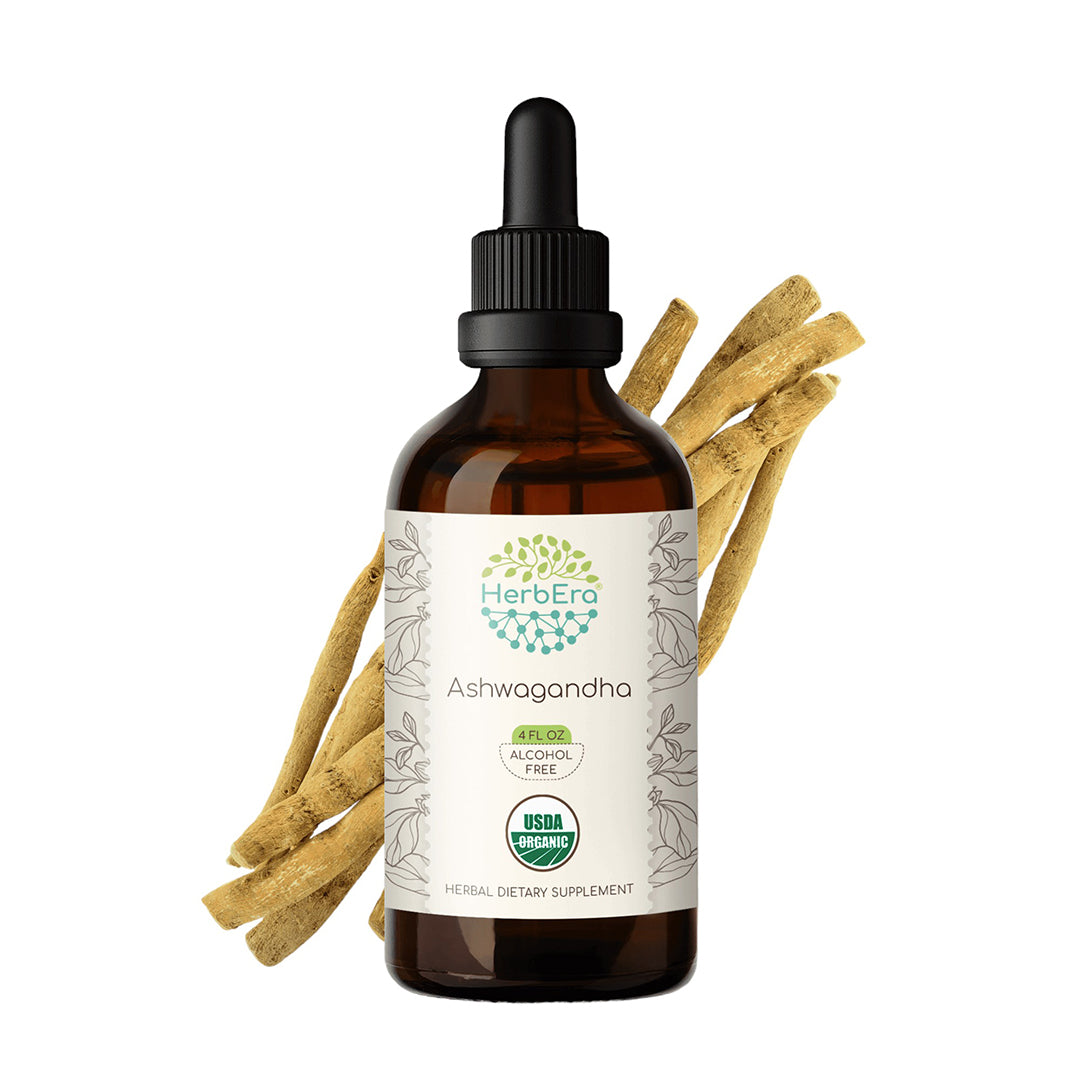 herbera | ashwagandha herbal extract tincture | organic | alcohol-free | made in usa