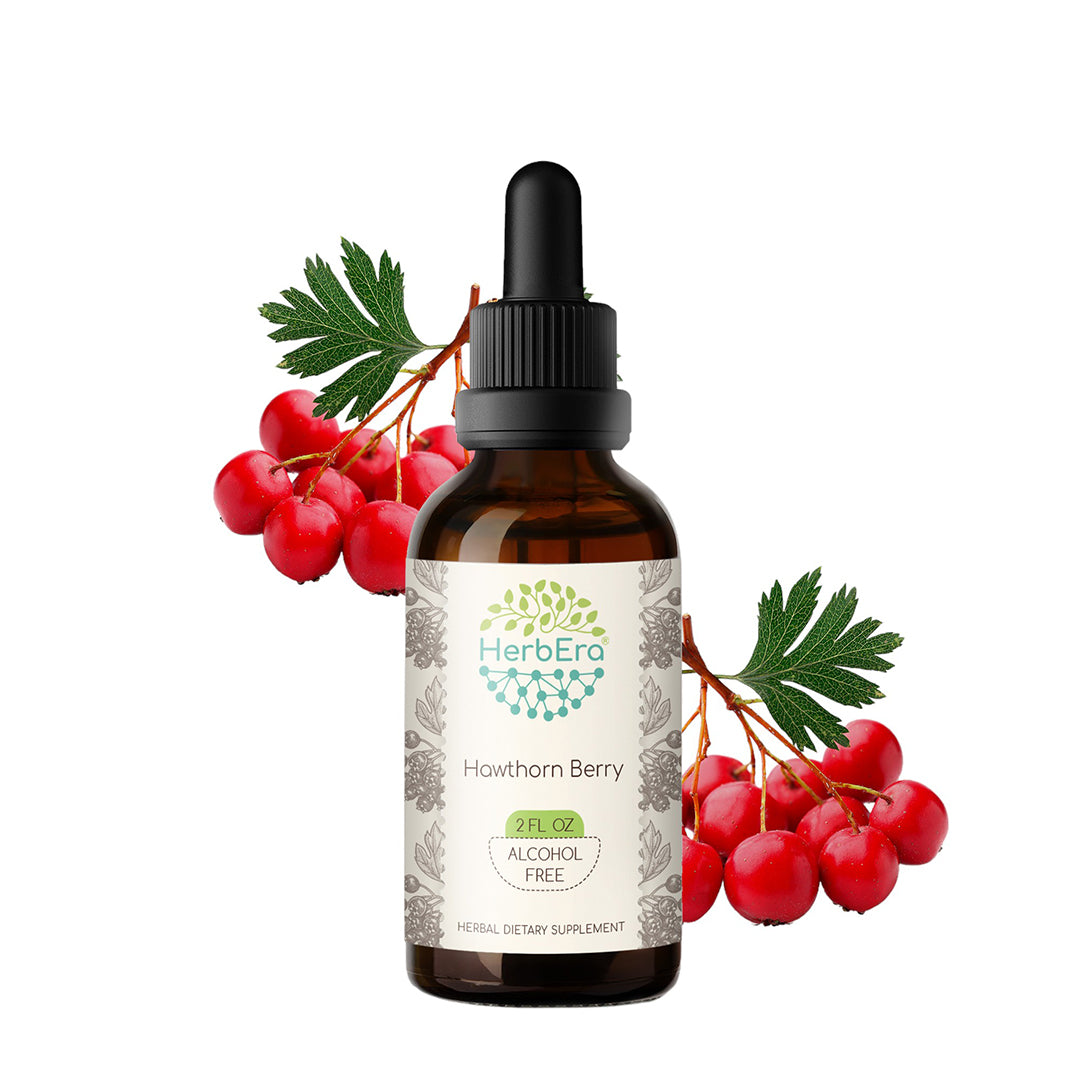 herbera | hawthorn berry | herbal extract tincture | 60ml | organic | alcohol free | dried berry | made in usa
