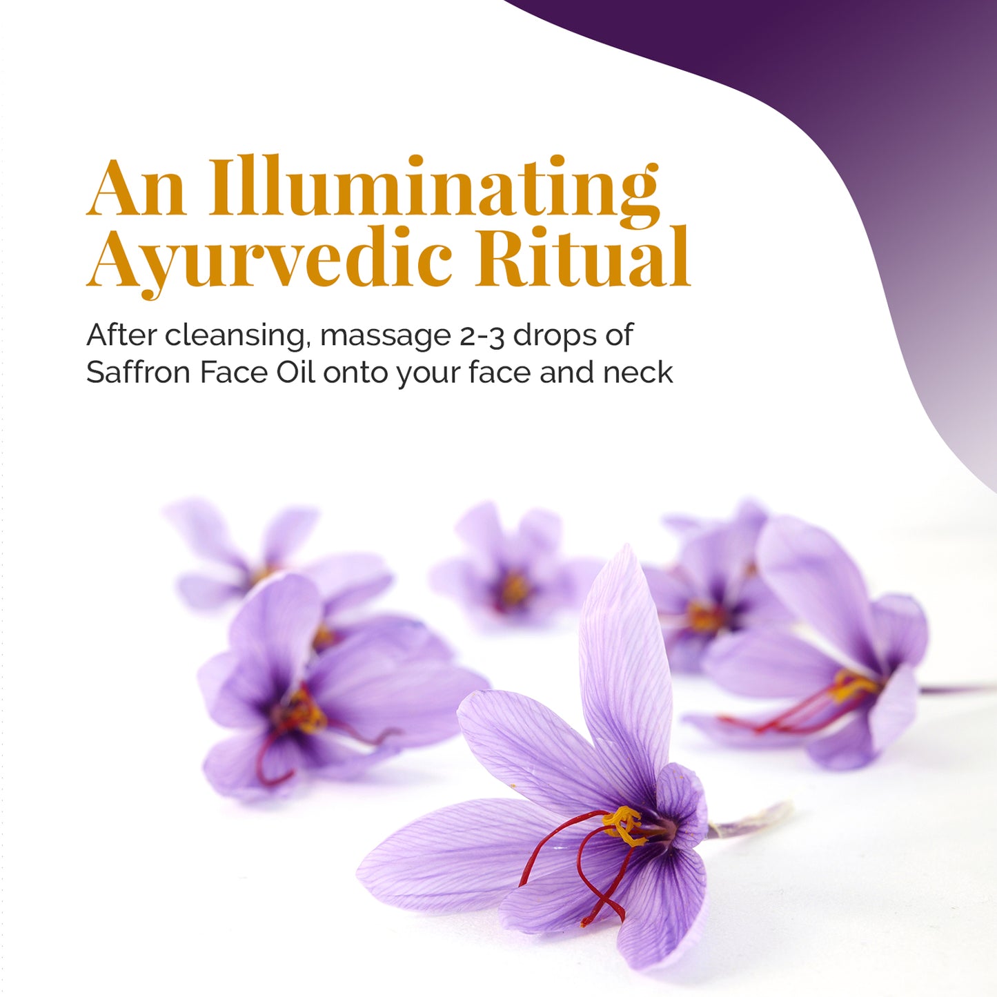 life & pursuits | saffron face oil | illuminates skin