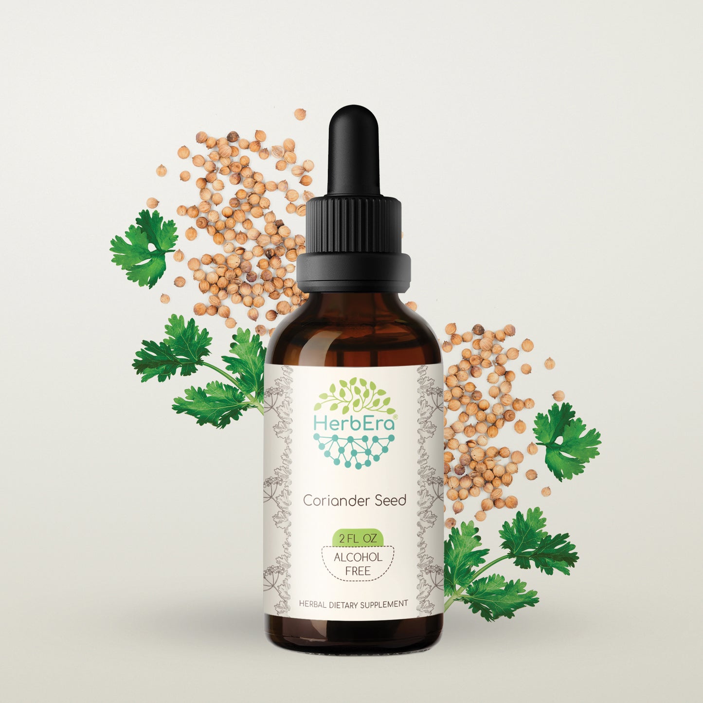 herbera | coriander seed herbal extract tincture| 60ml | organic | alcohol free | made in usa