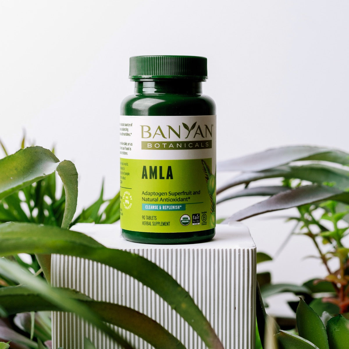 amalaki tablets - certified organic