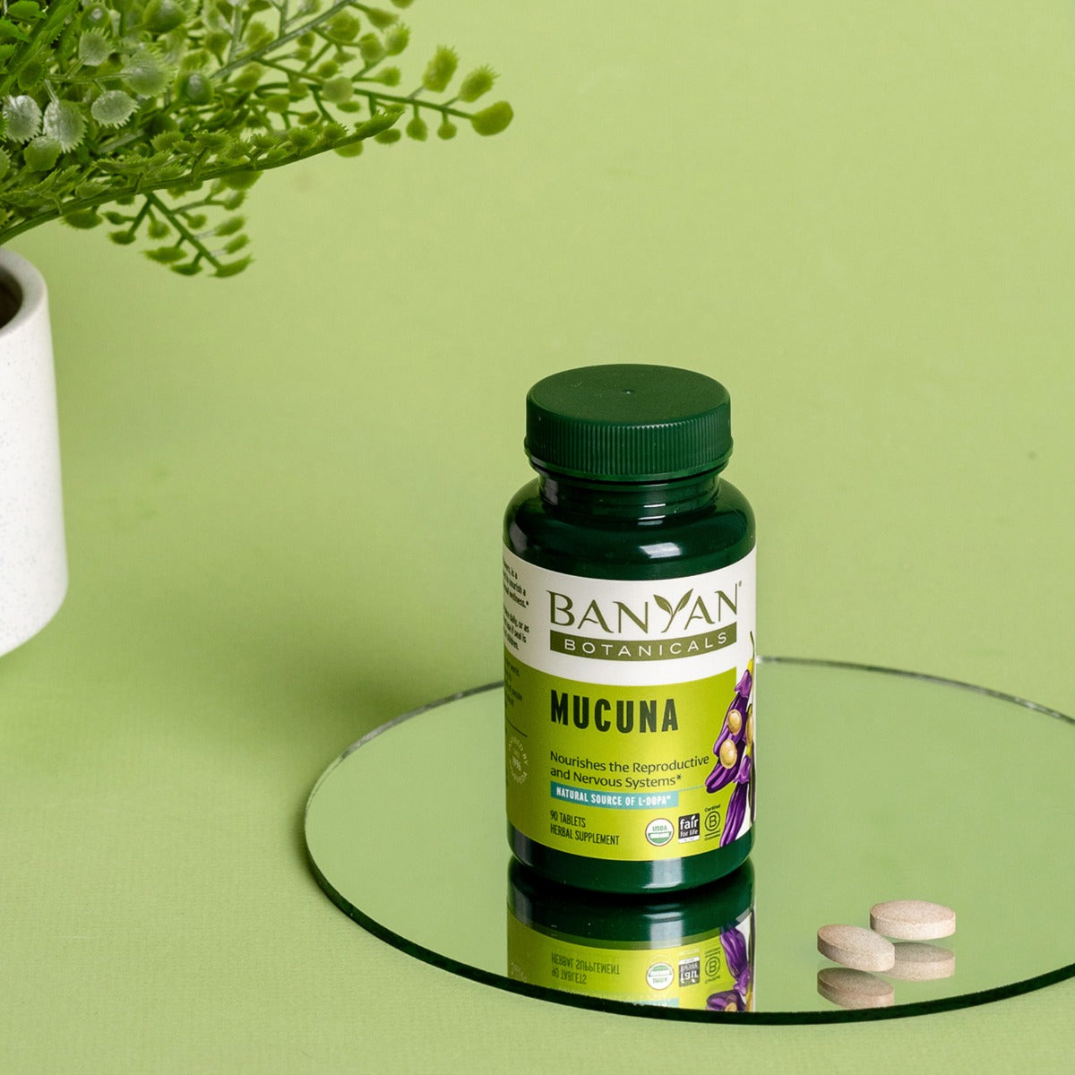 mucuna (kapikacchu) tablets | certified organic