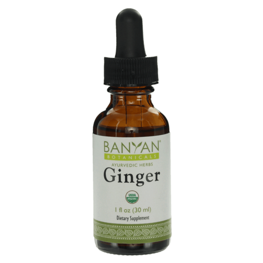 Ginger liquid extract | Certified Organic | 30ml