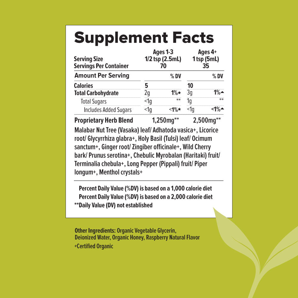 bronchial support herbal syrup | certified organic