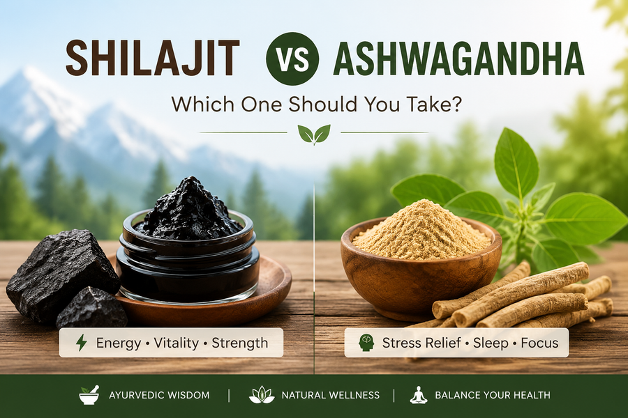Shilajit vs Ashwagandha: Which One Should You Take?