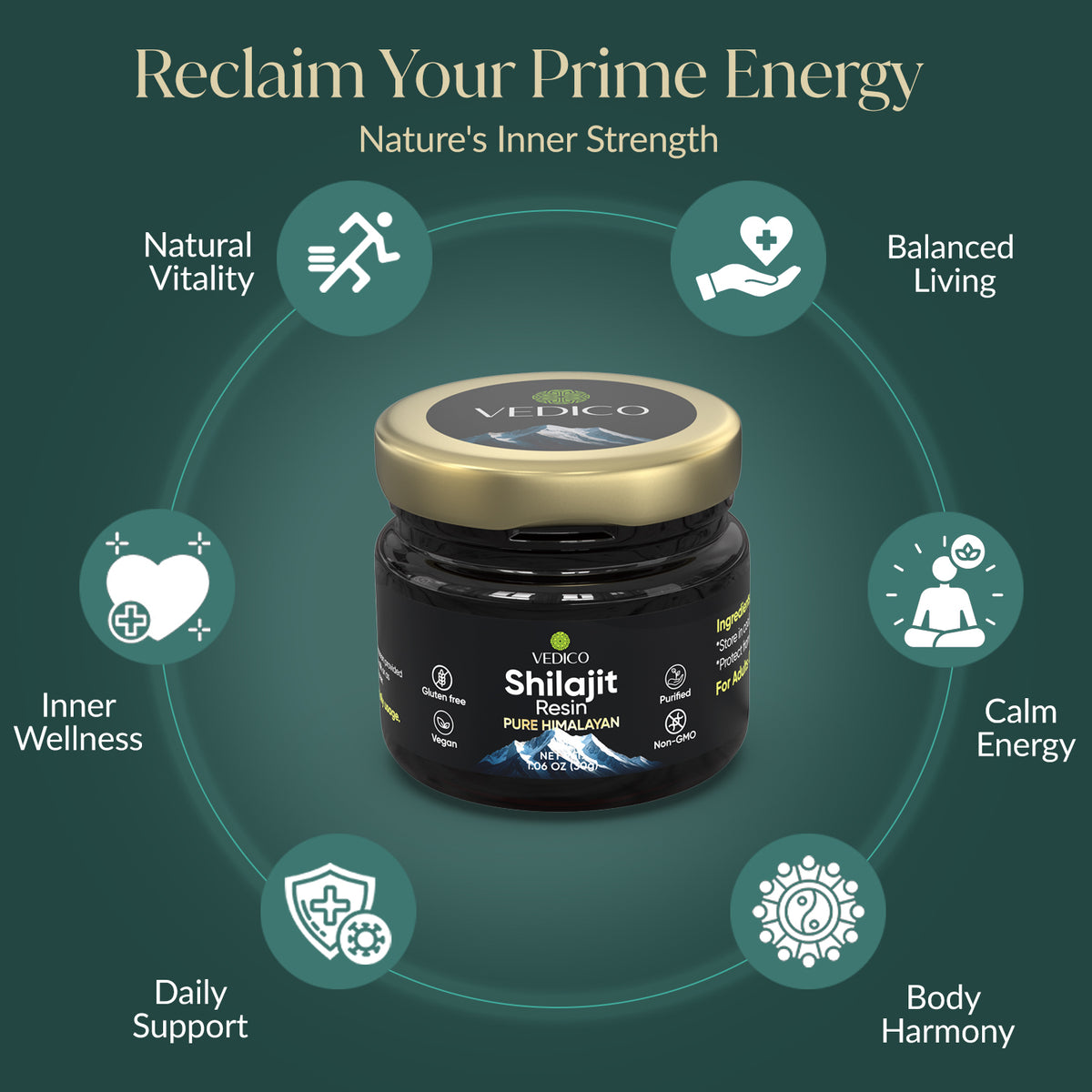 Himalayan Shilajit Resin | Natural Energy & Vitality Support