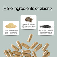 AyurScience | Gasnix | Low FODMAP | 60 Capsules