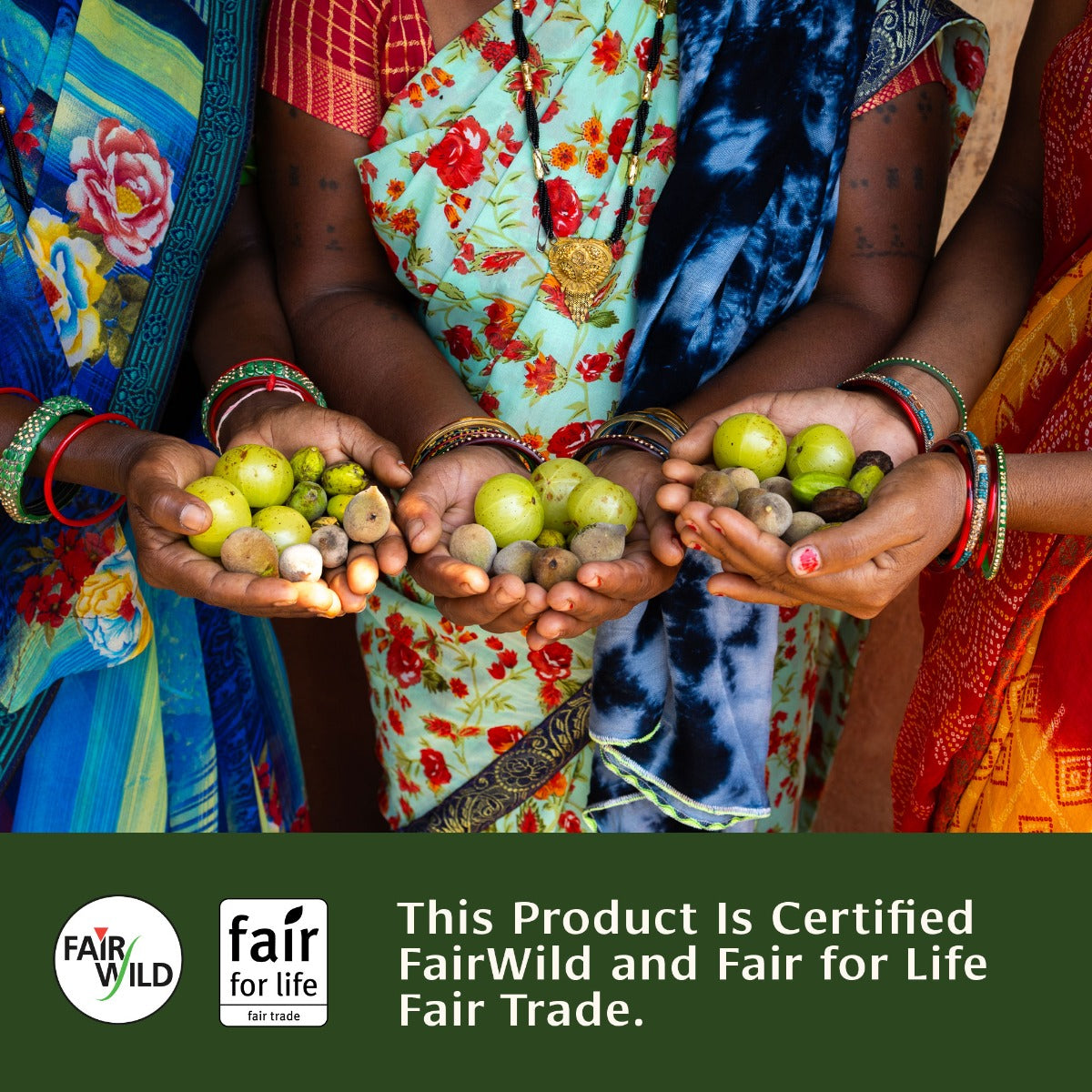 Triphala Tablets | Certified Organic