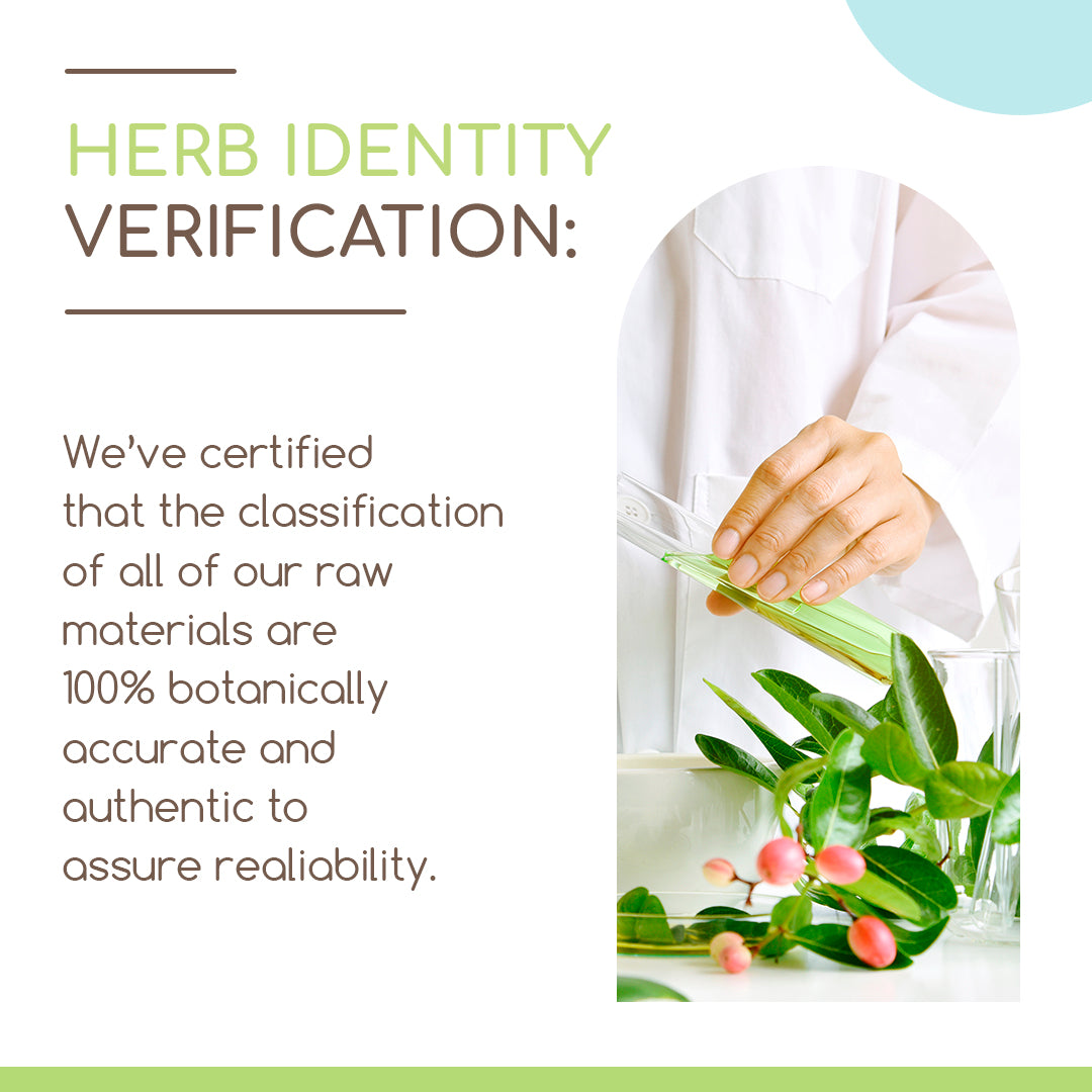herbera | neem herbal extract tincture | organic | alcohol-free | 60ml | made in usa