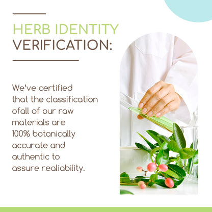 HerbEra | Coriander Seed Herbal Extract Tincture| 60ml | Organic | Alcohol Free | Made in USA