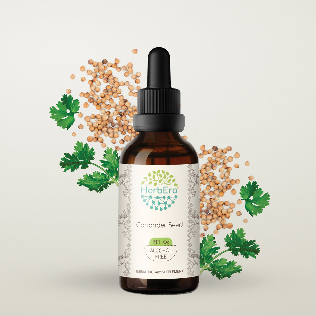 HerbEra | Coriander Seed Herbal Extract Tincture| 60ml | Organic | Alcohol Free | Made in USA