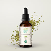 HerbEra | Fennel Seed Herbal Extract Tincture| 60ml | Organic | Alcohol Free | Made in USA