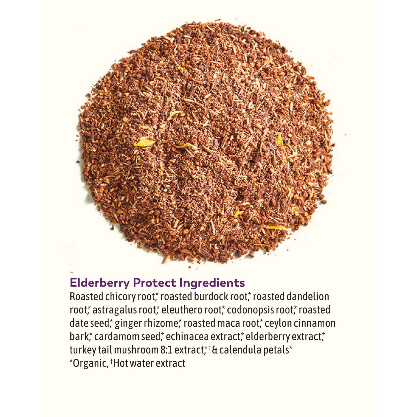 rasa | elderberry protect | 226g | elderberry | turkey tail | ginger