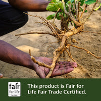 Ashwagandha powder - Certified Organic