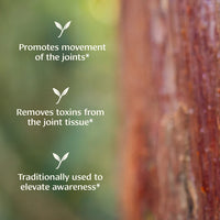 Boswellia powder - Certified Organic