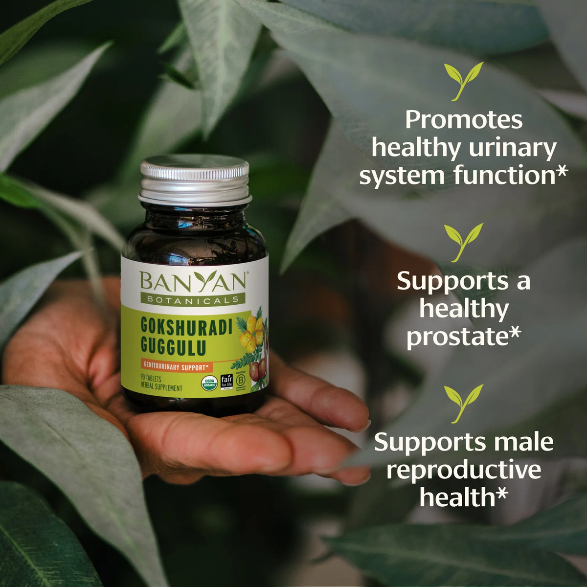 Gokshuradi Guggulu Tablets - Certified Organic