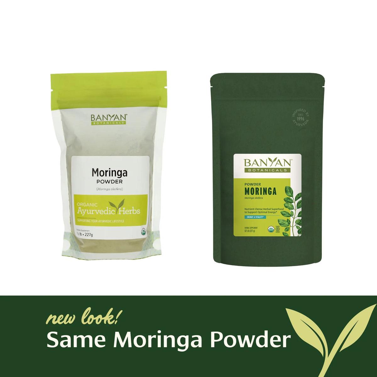 Moringa powder - Certified Organic