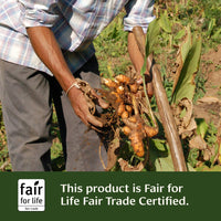 Turmeric powder - Certified Organic