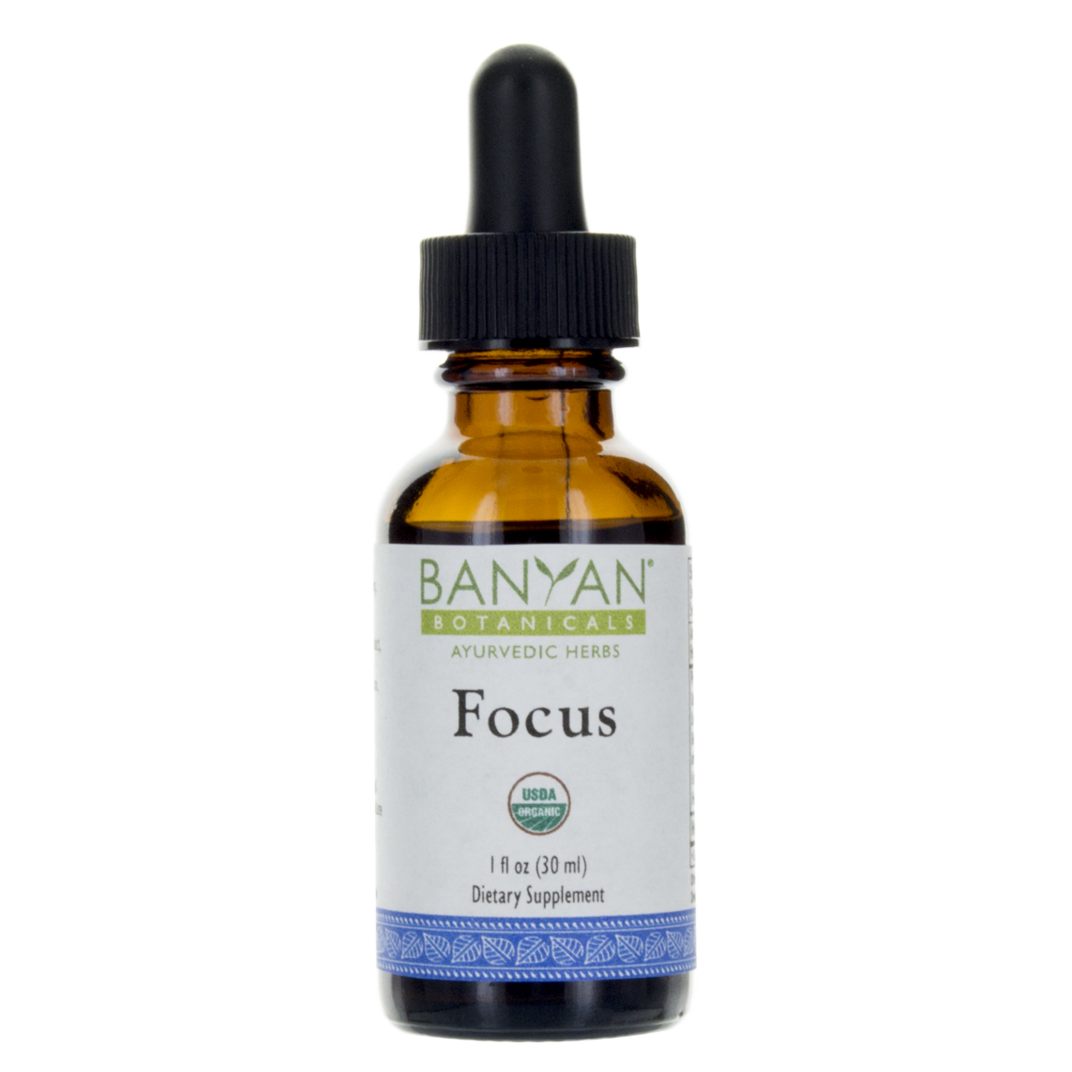 Focus liquid extract - Certified Organic