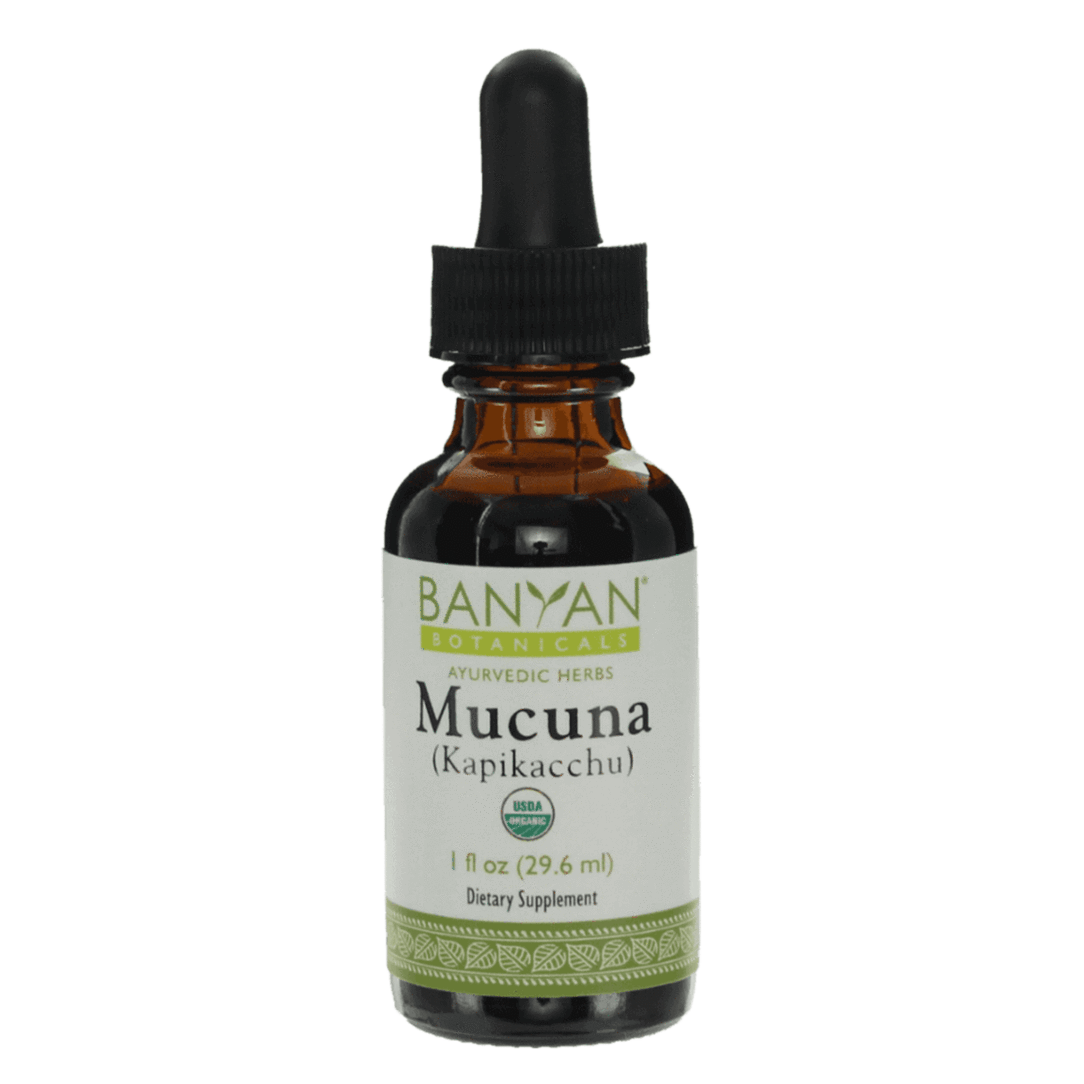 Mucuna (Kapikacchu) liquid extract - Certified Organic